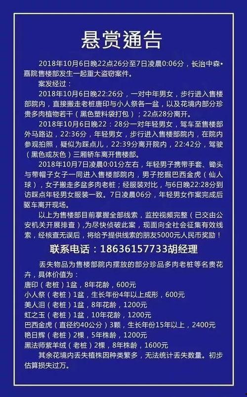 长治新闻爆料最新消息,突发！最新事件引发关注，详情即将揭晓  第3张